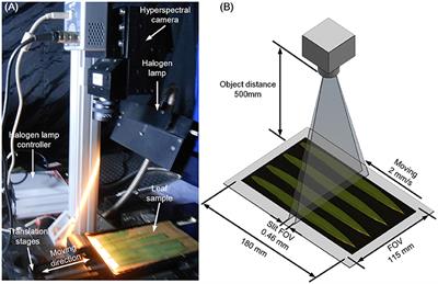 Accurate Digitization of the Chlorophyll Distribution of Individual Rice Leaves Using Hyperspectral Imaging and an Integrated Image Analysis Pipeline